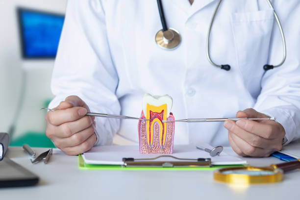 Best Tooth Infection Emergency Dentist  in Mount Ida, AR